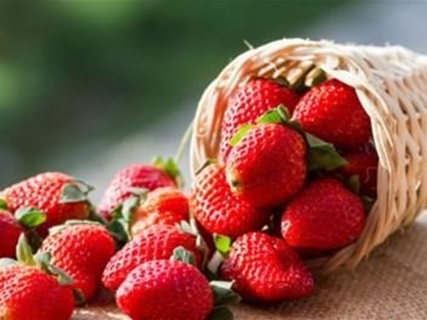 Verse aardbeien